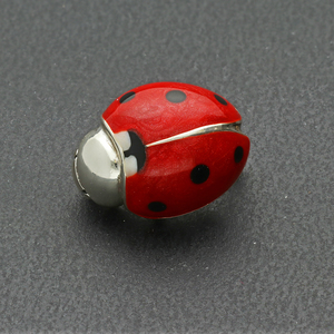 Ladybird_WebPic_1